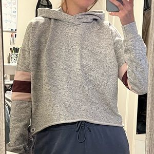 Abercrombie & Fitch Cropped Hoodie